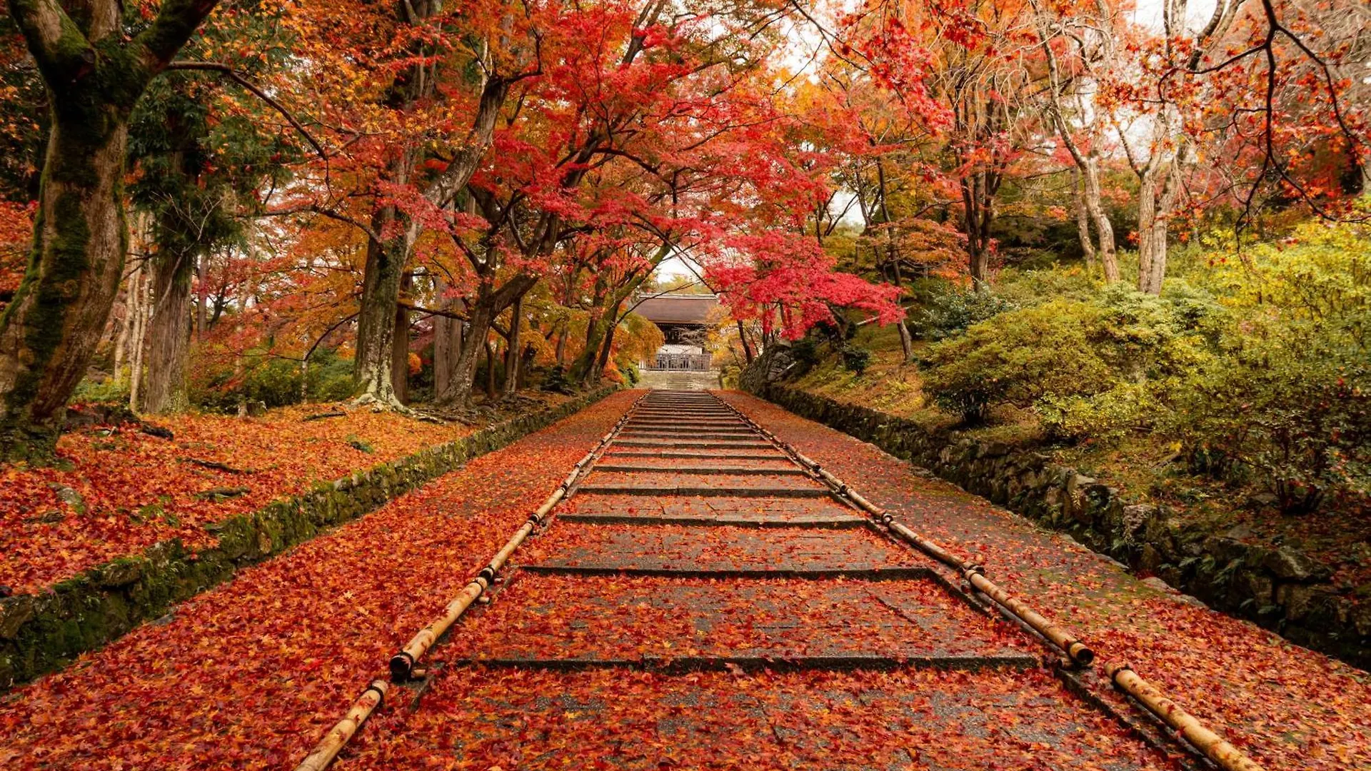 Four Points Flex By Sheraton Kyoto Oike 3*,